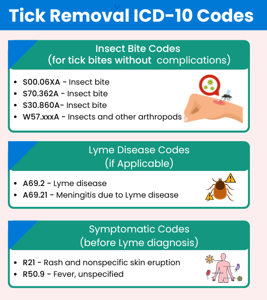 ICD-10 Codes for Tick Removal: A Comprehensive Billing Guide 1 Tick Removal ic-10 codes